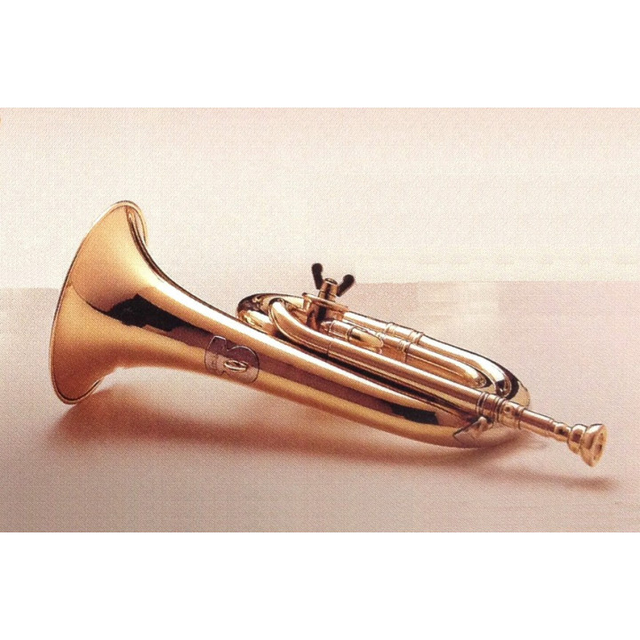 CORNETA HONSUY DO/REB BRILLANTE DORADA