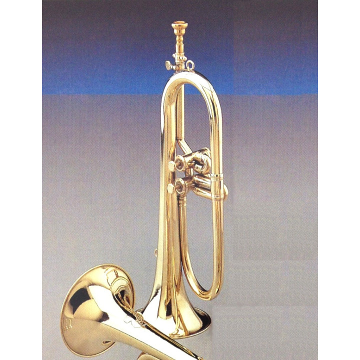 CORNETA HONSUY LARGA DOS PISTONES