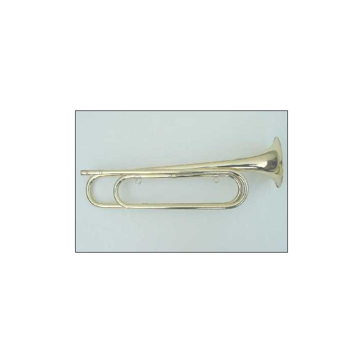 CLARIN EN MIB CON BOMBA