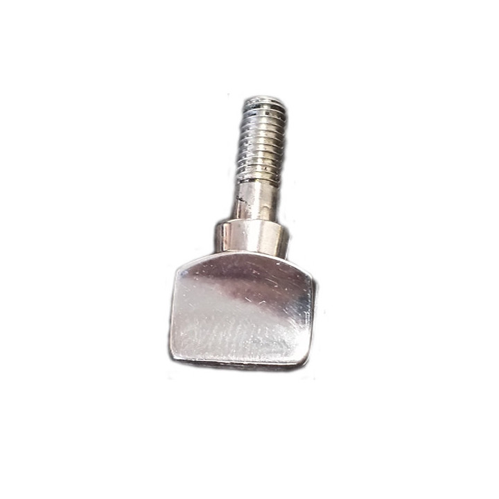 TORNILLO TUDEL CORNETA PLATA