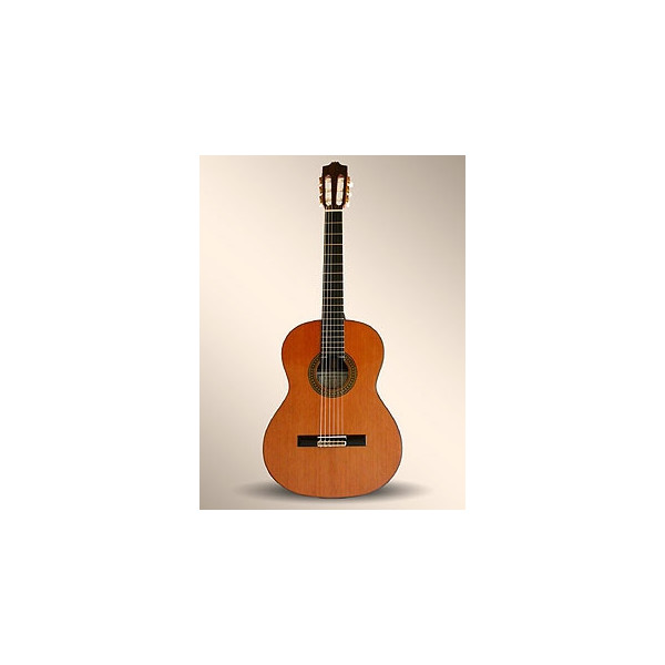 GUITARRA CLASICA ALHAMBRA 8P ESTUCHE 9557