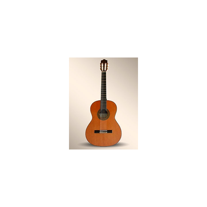 GUITARRA CLASICA ALHAMBRA 8P ESTUCHE 9557