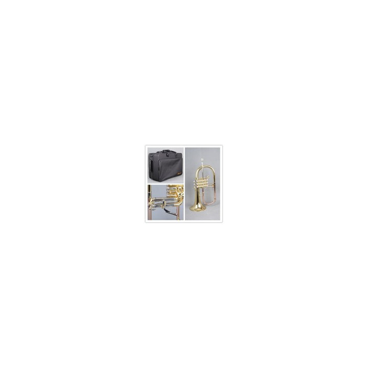 FLISCORNO ZAFIRO FL-565-L COBRE ORO
