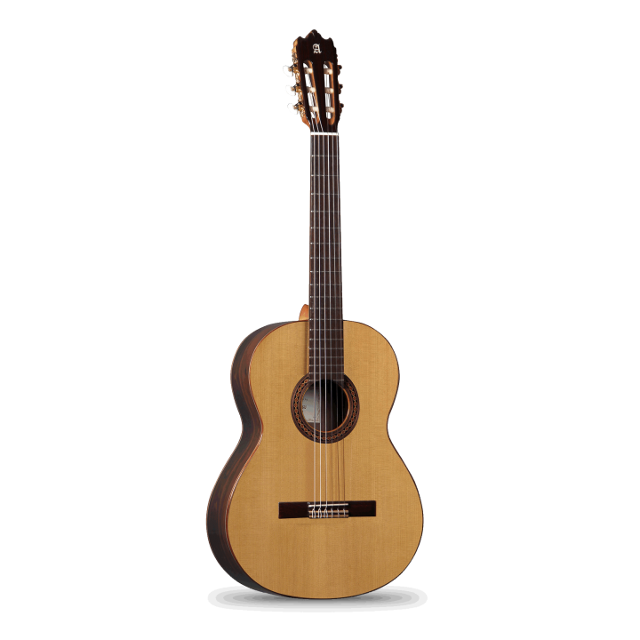 GUITARRA CLASICA IBERIA ZIRICOTE 50 ANIVERSARIO