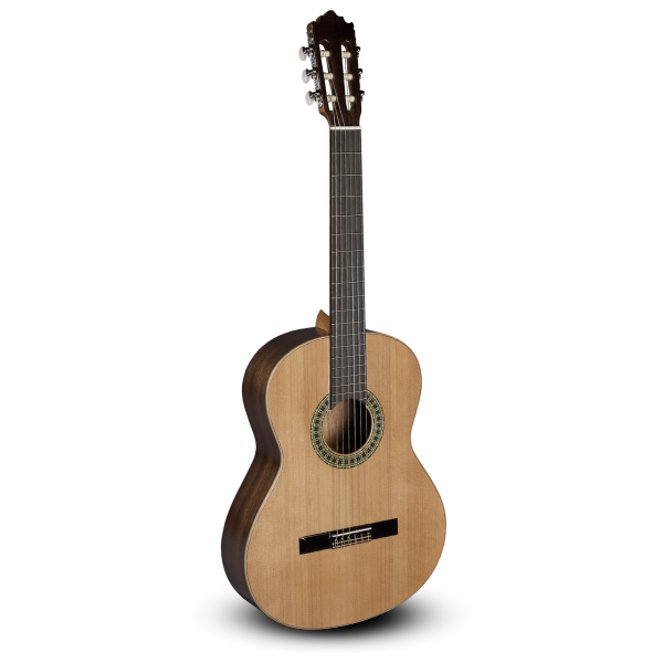 GUITARRA CLASICA PACO CASTILLO 201