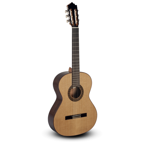 GUITARRA CLASICA PACO CASTILLO 202