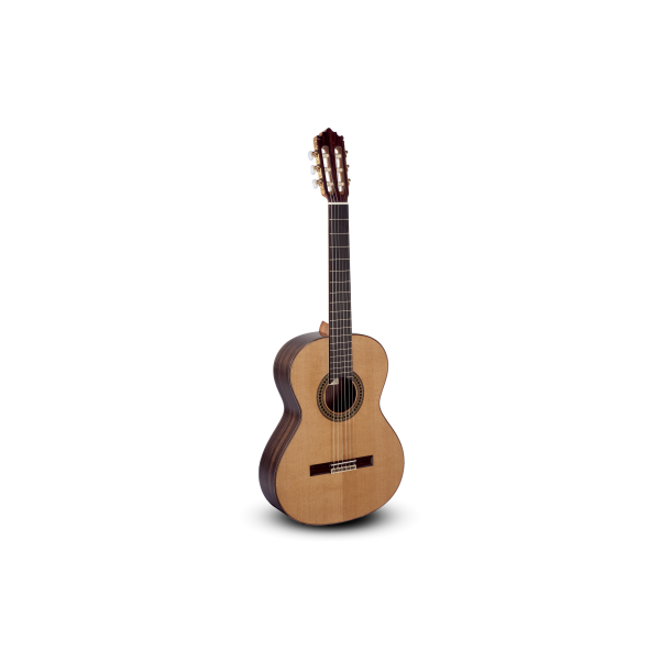 GUITARRA CLASICA PACO CASTILLO 204