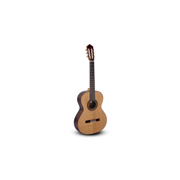 GUITARRA CLASICA PACO CASTILLO 204