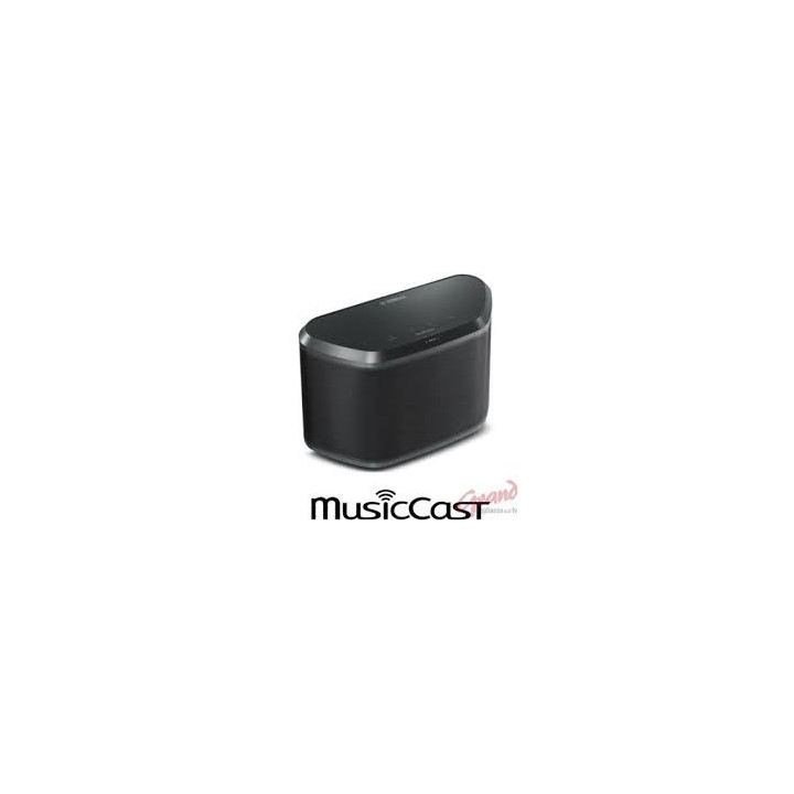 Altavoz amplificado en red con conexion WiFi , Bluetooth y AIRPLAY WX-030. Es compatible con MUSIC C