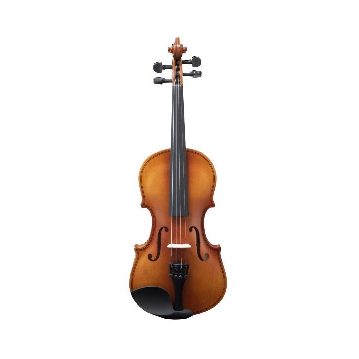 VIOLIN AMADEUS VP 201 4/4 TAPA ABETO AROS Y FONDO DE ARCE