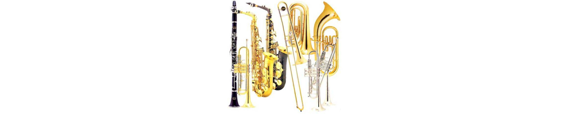 INSTRUMENTOS DE VIENTO