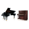 PIANOS Y TECLADOS